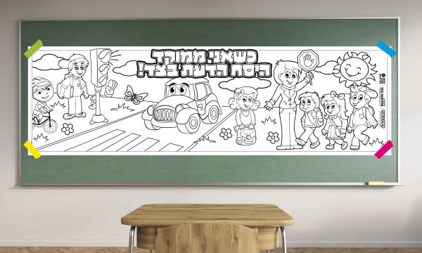 בטיחות בדרכים - ממוקד